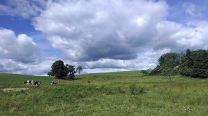 Pennsylvania farm