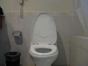 Toilet